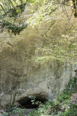 Rusya 'nın Sochi kenti yakınlarındaki Vorontsov mağarasının girişi. 24 Ekim 2019 Temiz Gün