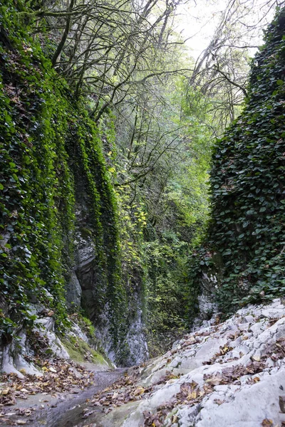 Cascada Milagro belleza en Lazarevsky distrito de Sochi, Rusia. 7 noviembre 2019 —  Fotos de Stock