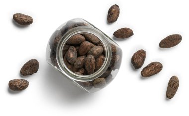 Beyaz arka planda kakao çekirdekleri. Yukarıdan görünüşü