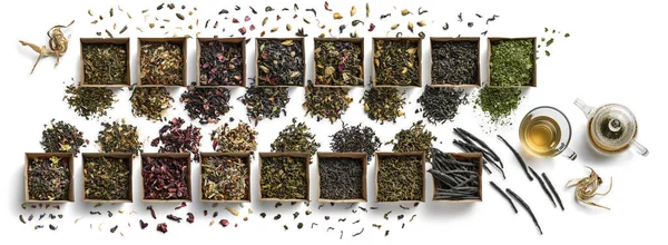 Large assortment of tea on a white background. The view from the top — 스톡 사진