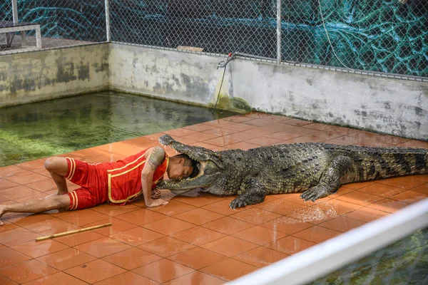 Um treinador enfiou a cabeça na boca de um crocodilo em uma fazenda de crocodilos na cidade de Nha Trang, no Vietnã. Janeiro 14, 2020 — Fotografia de Stock
