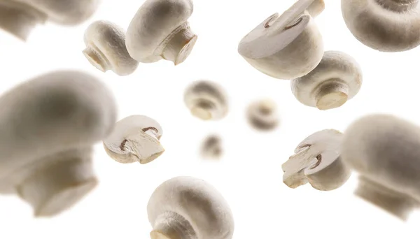Белые грибы левитируют на белом фоне — стоковое фото