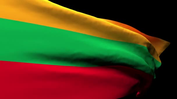 The national flag of Lithuania flutters in the wind — Stock Video