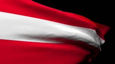 Avusturya 'nın ulusal bayrağı rüzgarda dalgalanıyor