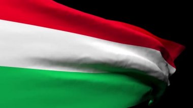 Macaristan ulusal bayrağı rüzgarda dalgalanıyor