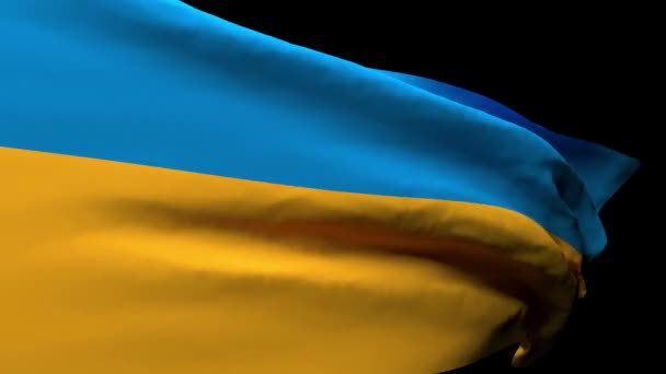 De nationale vlag van Oekraïne wappert in de wind — Stockvideo