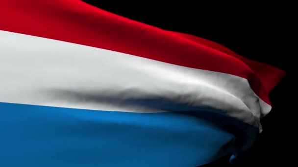 Die Nationalflagge der Niederlande weht im Wind — Stockvideo