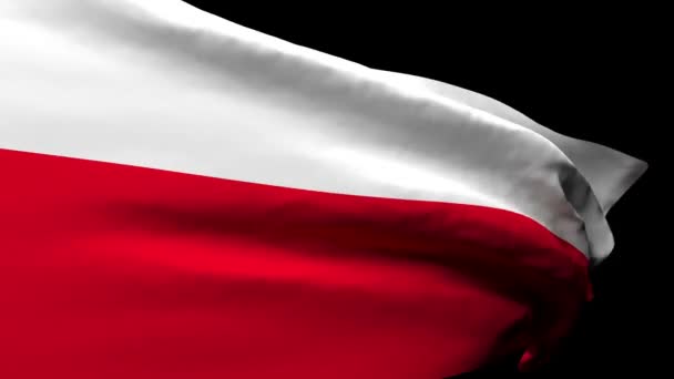 La bandera nacional de Polonia ondea con el viento — Vídeo de stock