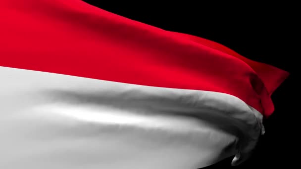 La bandera nacional de Indonesia ondea con el viento — Vídeos de Stock