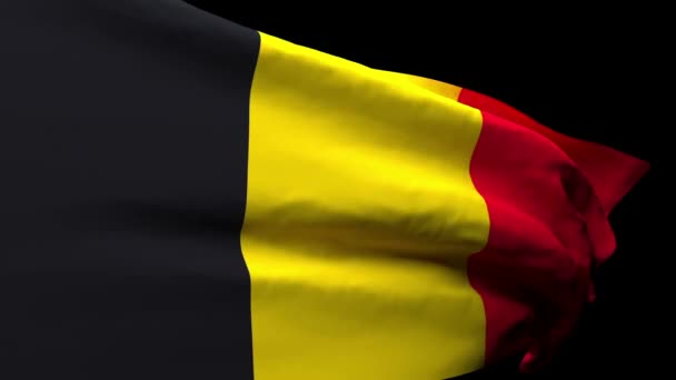 Государственный флаг Бельгии развевается на ветру — стоковое видео