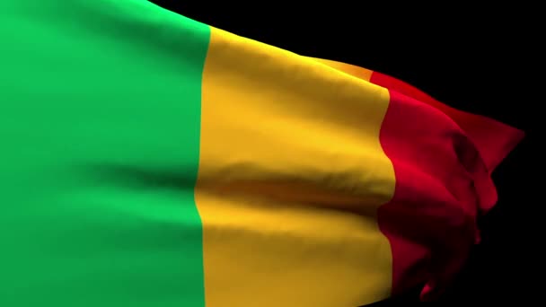 Flaga narodowa Mali wisi na wietrze — Wideo stockowe