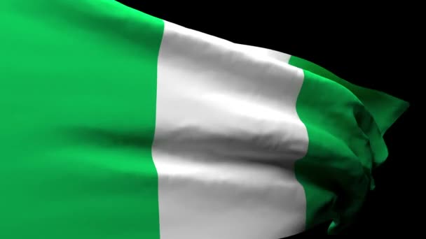 Nigerias flagga flyger i vinden. — Stockvideo