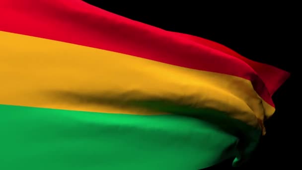 The national flag of Bolivia is flying in the wind — Stock Video