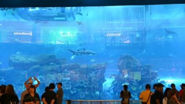 Dubai Alışveriş Merkezi 'ndeki akvaryum. Dubai, BAE, 13 Mart 2020