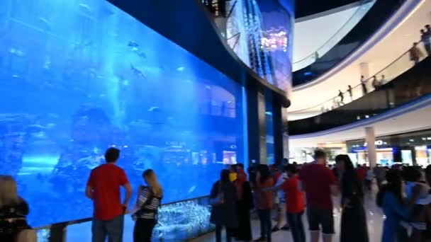 Het aquarium in de Dubai Mall. Dubai, Verenigde Arabische Emiraten, 13 maart 2020 — Stockvideo