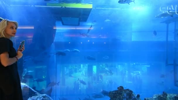 迪拜购物中心的水族馆2020年3月13日，迪拜 — 图库视频影像