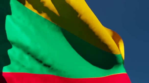 Litauens nationella flagga flyger i vinden mot himlen. — Stockvideo