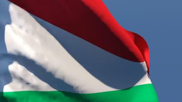 Magyarország nemzeti zászlaja a szélben repül az ég felé. — Stock videók