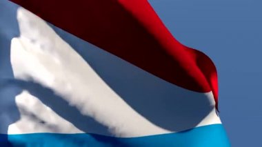 Hollanda 'nın ulusal bayrağı rüzgarda dalgalanıyor.