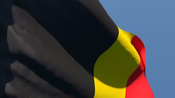 Η εθνική σημαία του Βελγίου κυματίζει στον άνεμο — Αρχείο Βίντεο