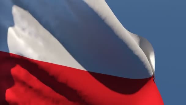 Le drapeau national de la Pologne flotte dans le vent contre le ciel — Video