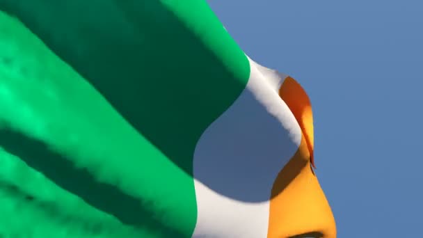 İrlanda bayrağı rüzgârda dalgalanıyor. — Stok video