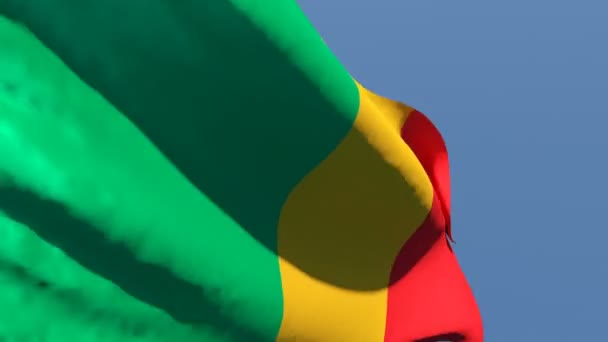 La bandiera nazionale del Mali sventola nel vento contro il cielo — Video Stock