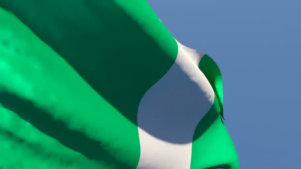 De nationale vlag van Nigeria wappert in de wind — Stockvideo