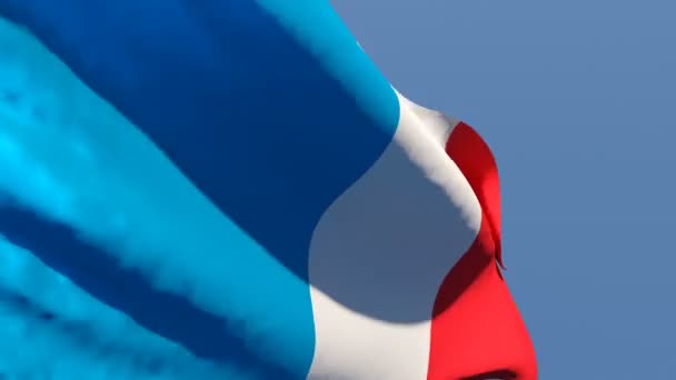 La bandera nacional de Francia ondea con el viento — Vídeos de Stock