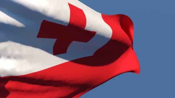 De nationale vlag van Tonga wappert in de wind — Stockvideo