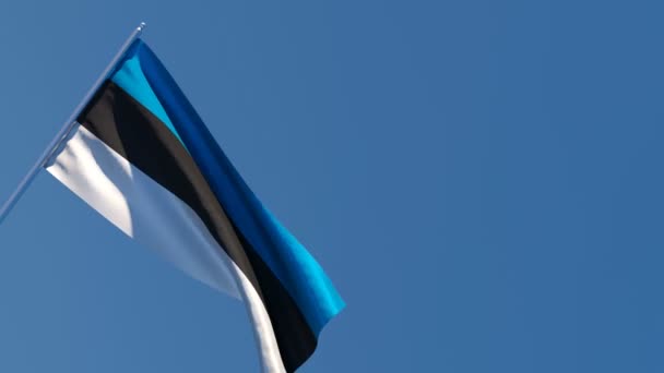 La bandera nacional de Estonia ondea en el viento contra el cielo — Vídeo de stock