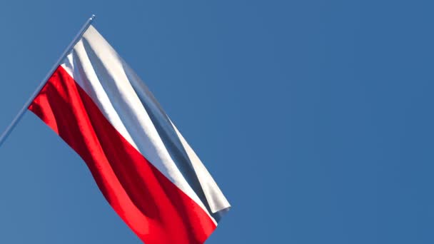 A bandeira nacional da Polónia está voando no vento contra o céu — Vídeo de Stock