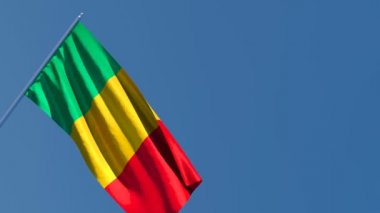Mali 'nin ulusal bayrağı gökyüzüne karşı rüzgarda dalgalanıyor