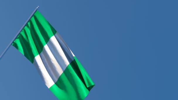 ナイジェリアの国旗が風に乗って飛んでいます — ストック動画