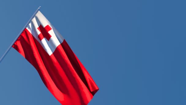 Государственный флаг Тонга развевается на ветру — стоковое видео
