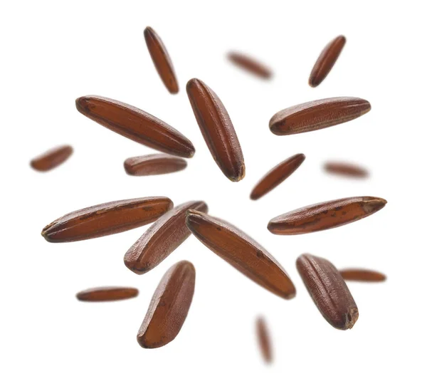 Raw brown rice levitates on a white background — Stock Photo, Image