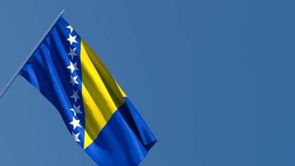 La bandera nacional de Bosnia y Herzegovina ondea con el viento — Vídeos de Stock