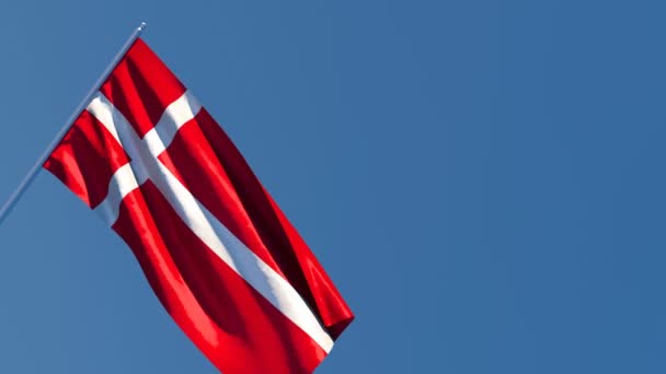 丹麦的国旗在风中飘扬 — 图库视频影像