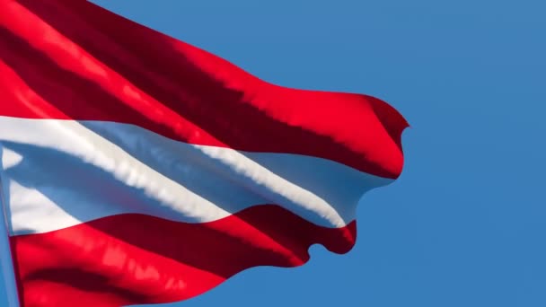 A bandeira nacional da Áustria está voando no vento contra o céu — Vídeo de Stock