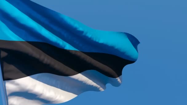 Le drapeau national de l'Estonie flotte dans le vent contre le ciel