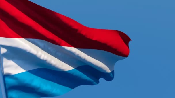 De Nederlandse vlag wappert in de wind — Stockvideo