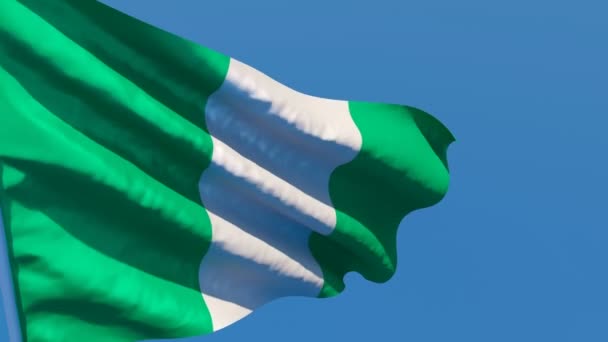Nijerya 'nın ulusal bayrağı rüzgarda dalgalanıyor — Stok video