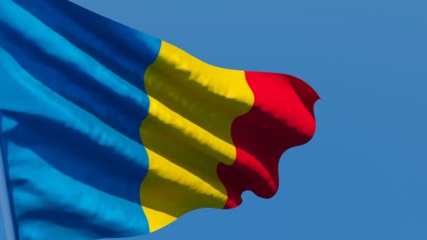Государственный флаг Франции развевается на ветру — стоковое видео
