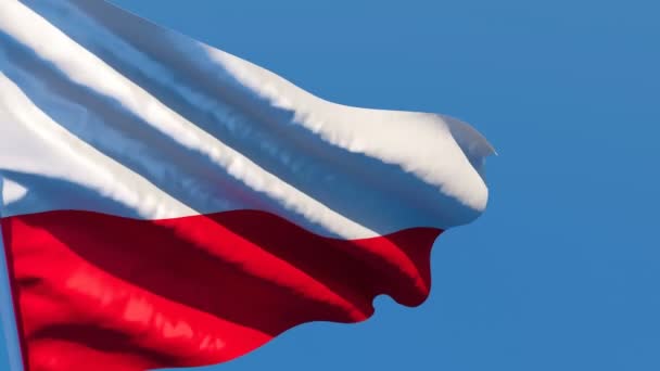 La bandera nacional de Polonia ondea en el viento contra el cielo — Vídeo de stock