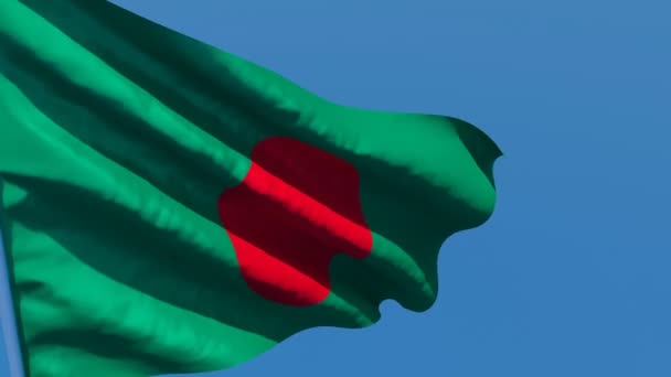 Die Nationalflagge Bangladeschs weht im Wind — Stockvideo