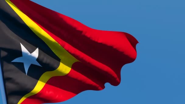 La bandera nacional de Timor Oriental ondea en el viento — Vídeo de stock