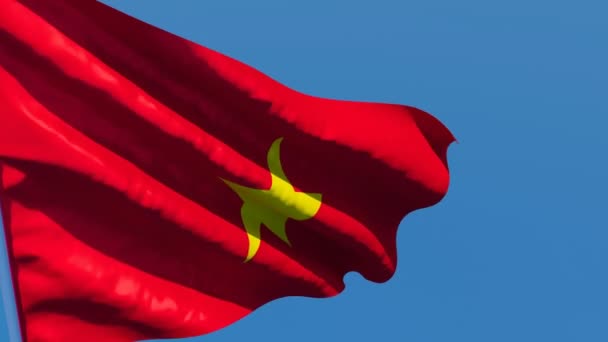 A bandeira nacional do Vietnã está voando ao vento — Vídeo de Stock