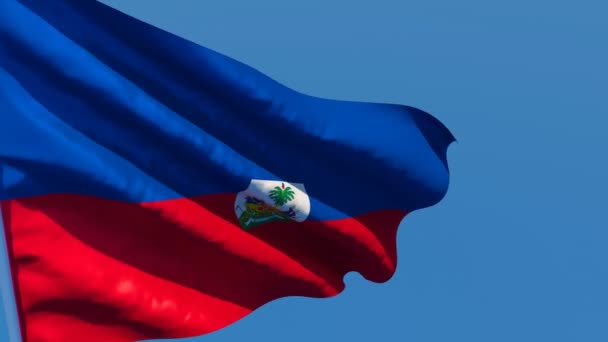 Η εθνική σημαία της Αϊτής κυματίζει στον άνεμο — Αρχείο Βίντεο