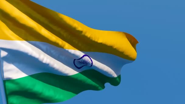 Indiens nationella flagga flyger i vinden — Stockvideo