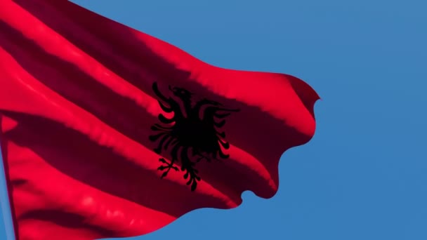 Le drapeau national de l'Albanie flotte dans le vent — Video